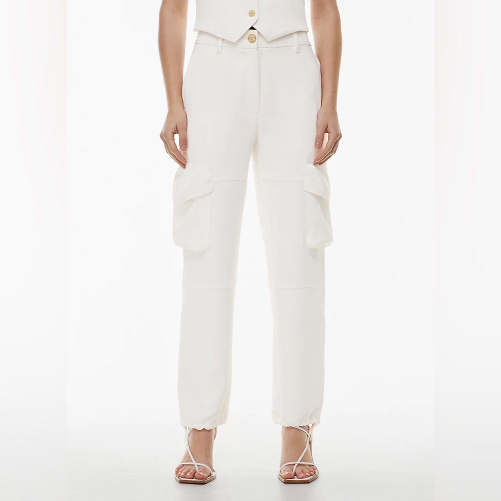 Aritzia Wilfred Project Pant Casual Travel Vacation Utility Summer Size 2
